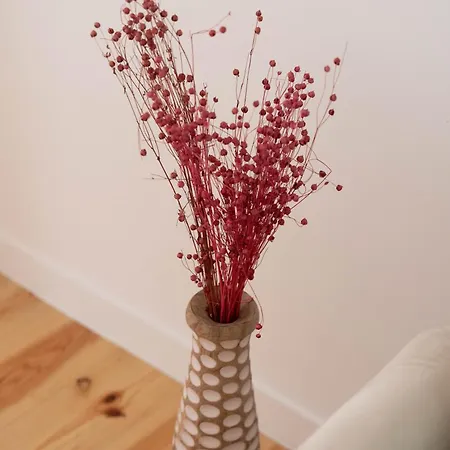 Cozy Bohemian Flat- Berry * Лиссабон